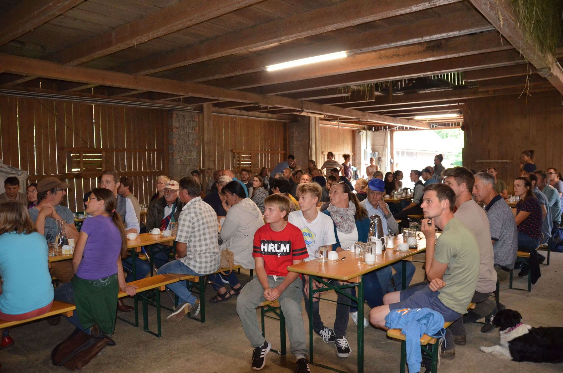 © Schaf- und Ziegenzuchtverband Kärnten